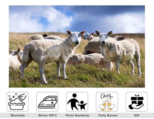 5x3ft Fabric White Wool Sheep Backdrop Flock Grazing Dry Grass Hill Fluffy Cloud Bright Blue Sky Farm Background Tapestry Pasture Animal Decorations Photo Booth Props - size: 5x3ft