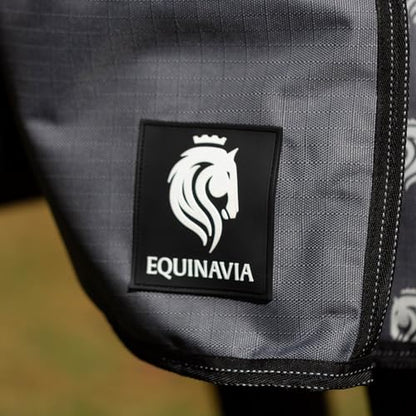 Equinavia Arktis Regular Neck Turnout Sheet - Carbon Gray - 75 in - color: Carbon Gray, size: 75 in