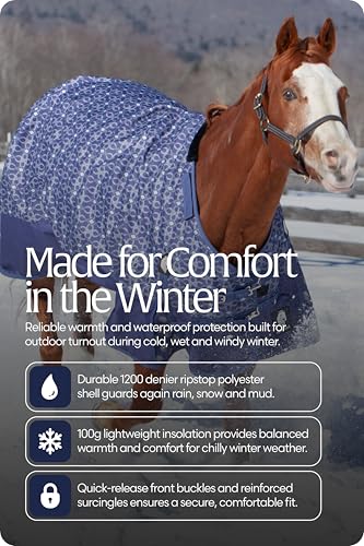 Equinavia Arktis Reg. Neck Lightweight Turnout Blanket 100g - Skipper Blue - 72 in - color: Skipper Blue, size: 72 in