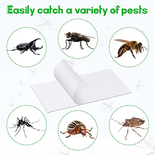 40 Pack Replacement Fly Glue Boards Sticky Cards for Mosquito Traps
