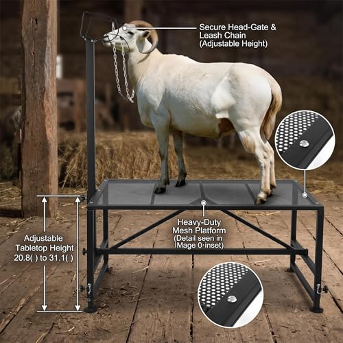Premium Sheep Stand, Goat Stand & Functional Hoof Stand - Adjustable Design for Sheep Grooming, Goat Milking & Hoof Trimming, Sturdy Build for All Farm Animal Care Needs