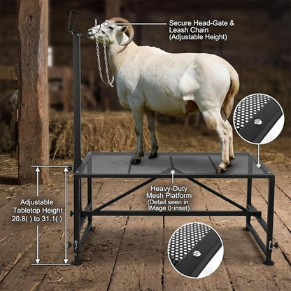 Premium Sheep Stand, Goat Stand & Functional Hoof Stand - Adjustable Design for Sheep Grooming, Goat Milking & Hoof Trimming, Sturdy Build for All Farm Animal Care Needs