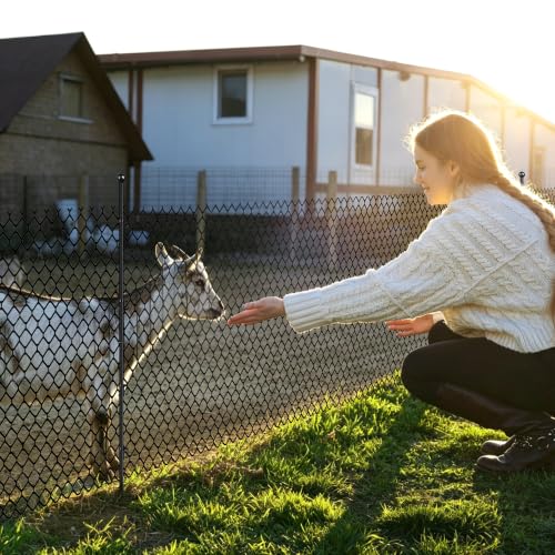 4FT Metal Fence Posts 10 Pack, Garden Lawn Wire Fencing Stakes | Easy Setup, Adjustable U-Clips & Segmented Structure Fit All Wire Fences Spray Coated to Resist Rust and Water