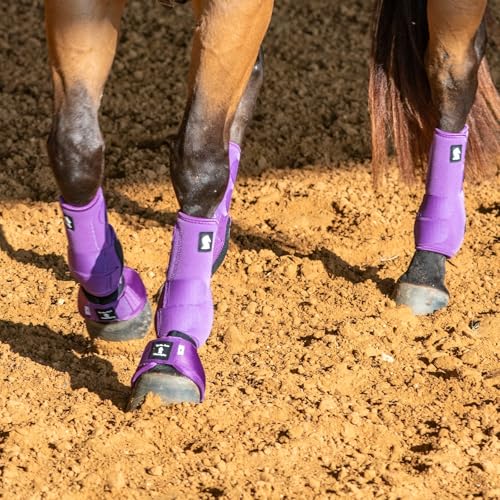 Classic Equine Legacy2 Support Boots, Front (Violet Purple, Small) - color: Violet Purple, size: Small