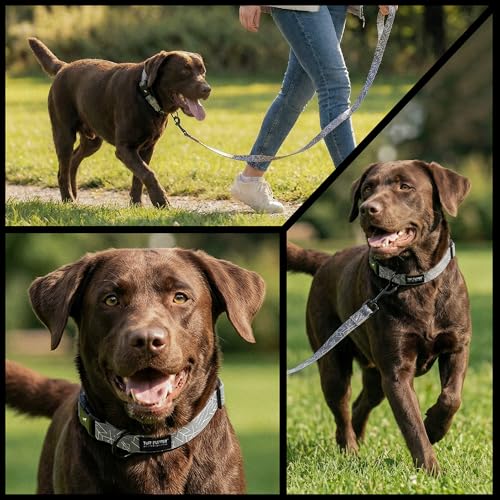 Tuff Pupper Premium Adjustable Dog Collar for Small Boy & Girl Dogs, Stylish Pattern Collars Designed in USA, Quick Release Buckle, TotemRealm Print, Small (0.7 Inch Wide x 8-12 Inch Neck) - color: TotemRealm, size: Small