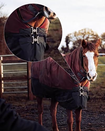 4 Sets Horse Blanket Surcingle Buckle Replacement Kits, Heavy-Duty Hardware Buckles with Straps for Repair and Restoration of Horse Blankets