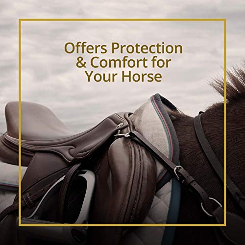 Kavallerie Gel Saddle Pad - Helps with Saddle Bridging, Sore Back, Swayed Back, High Withers English Bareback Pad for Horses, Protective, Perfect for Eventing, Schooling, Dressage - size: Front Riser