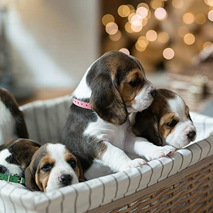 Puppy Collar for Litter Adjustable Leather ID Collars for Puppy Small Dog - size: S(Neck:6''~13'')