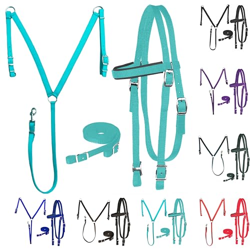 Majestic Ally Nylon Padded Equestrian Browband Headstall, Reins & BreastCollar Set for Horse- Full - color: Turquoise