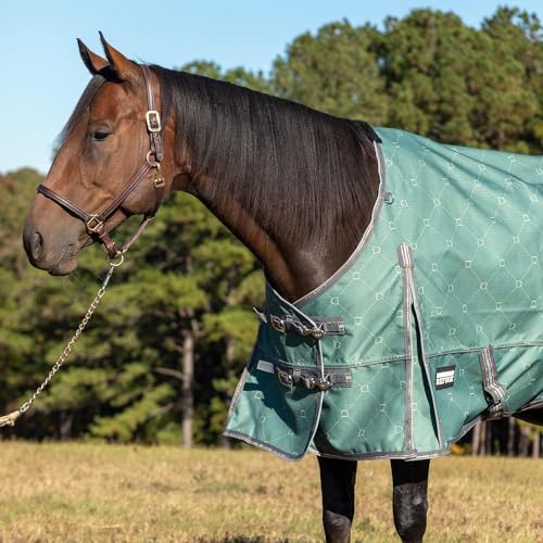 Jeffers Poplar Head Uniquely English 1200 Denier Turnout Blanket, 240 Gram, Spruce Stirrup Irons, 84" - size: 84 in