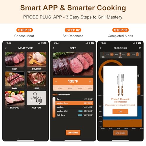Newise Wireless Meat Thermometer Digital - 2 Probes - style: 2 Probes