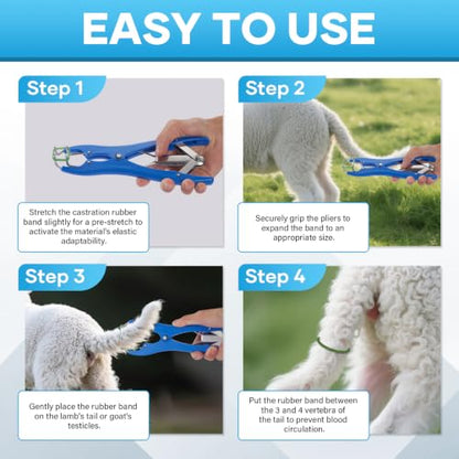 100Pcs Castration Bands and Goat Banding Kit, Stainless Steel Jaw Castration Tool with Non-Slip Plastic Handle, Livestock Bander for Lambs, Calves | Balloon Expander