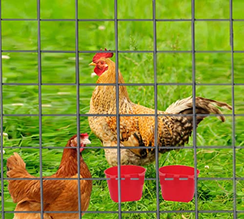 Pack of 40 Cage Cups Birds Feeders Seed Bowl Chicken Feeding Watering Dish Rabbit Water Food Hanging Wire Cages Box 8 oz Coop Cups for Pet Parrot Parakeet Game Fowl Poultry Pigeon - color: Red 40 packs 8oz