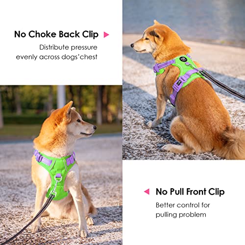 PHOEPET No Pull Dog Harness, Unique Colors Reflective Adjustable Dog Vest - color: Green Base & Purple Straps, size: Large