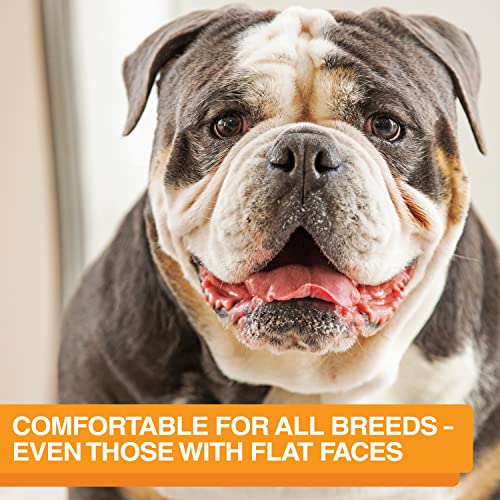 Neater Feeder Express Mess Proof Dog Bowls Elevated for Medium and Large Breed – Made in USA – No Spill Raised Slow Feeder Elevated Dog Bowl Stand, Slow Feed Food and Water Bowl Set, Grey - color: Gunmetal Grey, size: Medium to Large w/ 9 Peak Slow Feed B