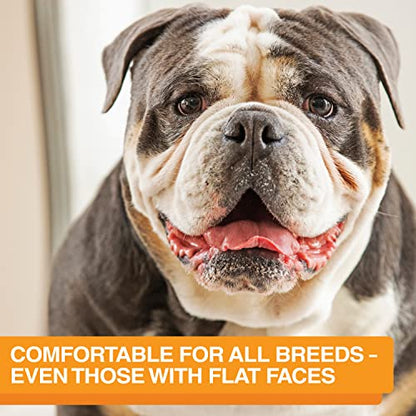 Neater Feeder Express Mess Proof Dog Bowls Elevated for Medium and Large Breed – Made in USA – No Spill Raised Slow Feeder Elevated Dog Bowl Stand, Slow Feed Food and Water Bowl Set, Cappuccino - color: Cappuccino, size: Medium to Large w/ 9 Peak Slow Fee