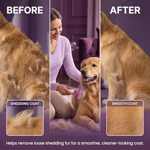 POODLIE Poodle Pet Dog Grooming Rake| Dematting Tool with Stainless Steel Shedding Comb for Pets | 2 Rows of Pins Gently Remove Loose or Tangled Hair from Undercoat | Purple Handle - color: Purple