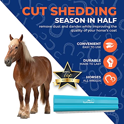 EquiGroomer 8-Inch Deshedding Brush for Dogs & Horses, Turquoise - color: Turquoise