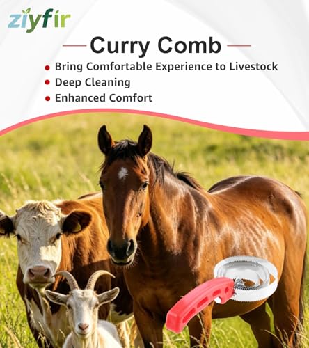 2 Pcs Red Curry Comb Double Sided Shedding Comb