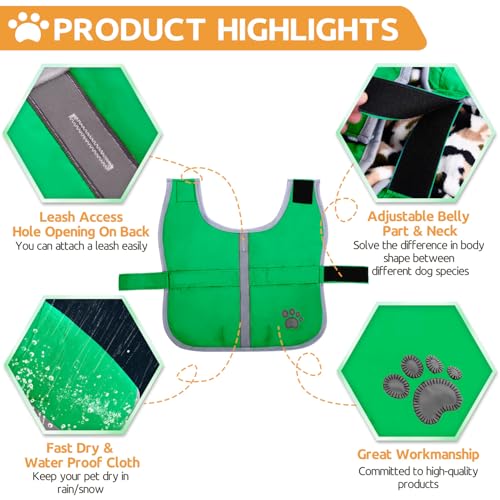 Queenmore Dog Winter Coat, Cold Weather Fleece Dog Jacket, Small Dog Coat - color: Green, size: X-Small