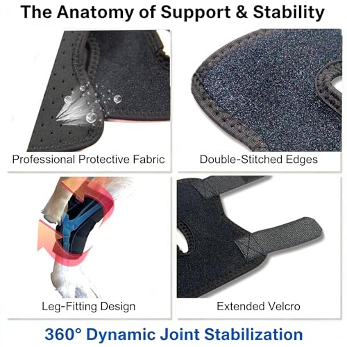Pet Hind Leg Support Brace, Black, Size M, Joint Protection for Senior Dogs and Cats with Weakness - size: M