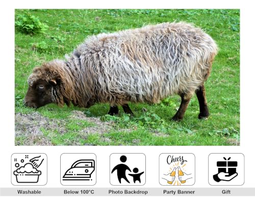 16x10ft Fluffy Wool Sheep Backdrop Curly Grey Brown Fur Fresh Green Meadow Grass Photography Background Tapestry Party Farm Animal Decorations Banner Photo Booth Props - size: 16x10ft