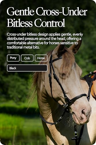 HORZE Genuine Leather Cross-Under Bitless Bridle | Includes Web Reins with Hand Stops - size: Cob