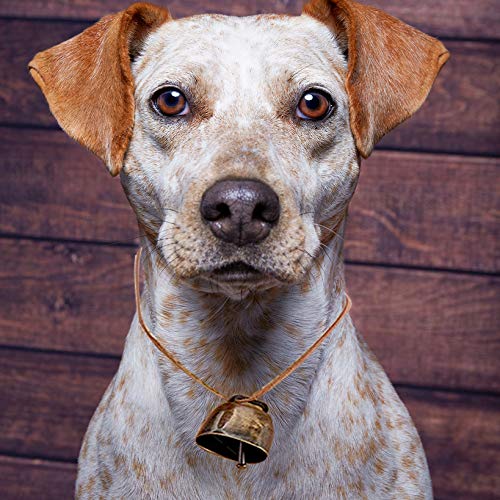 5 Pack Grazing Copper Bells, Metal Cow Bells for Dogs, Animal Copper Loud Bronze Bell, Small Brass Bell, for Cow Horse Sheep Cats Small Pets Anti-Theft Accessories (Bronze), 1, Brass Bronze Iron,