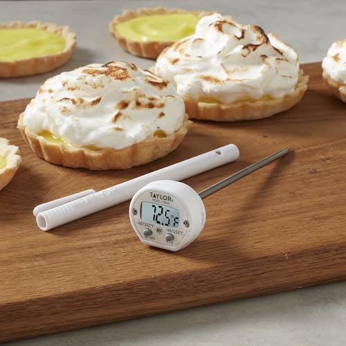 Taylor Instant Read Digital Meat Thermometer for Grill, BBQ & Kitchen, NSF Approved, Fast Internal Temperature Readings, F/C Switchable Display, Battery Included, Pocket Sleeve Clip, White - style: Fast Reading Pocket Thermometer