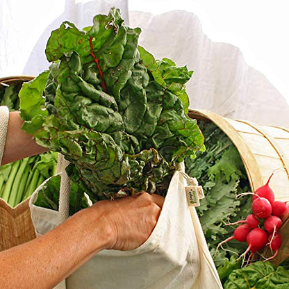 Simple Ecology Reusable Grocery Produce Shopping and Storage Bags, Organic Cotton Muslin, Set of 10 (2 ea. XL, L, M, S, XS) - size: Set of 10 (2 ea. of XL,L, M, S,XS)