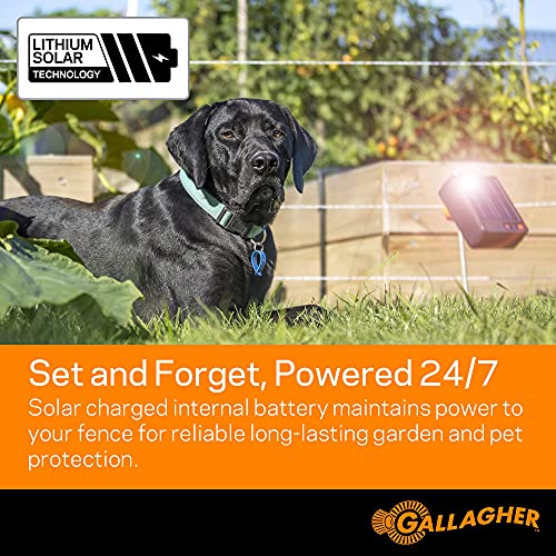 Gallagher S6 Solar Energizer Bundle with 1312ft Polywire | Electric Fence Starter Bundle