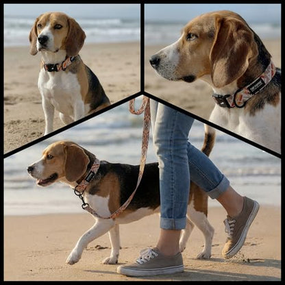 Tuff Pupper Premium Adjustable Dog Collar for Medium Boy & Girl Dogs, Stylish Pattern Collars Designed in USA, Quick Release Buckle, AztekSun Print, Medium (1 Inch Wide x 13-18 Inch Neck) - color: AztekSun, size: Medium