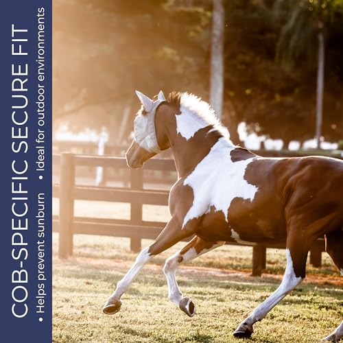 Cob Horse Fly Mask with Ears, UV Protection, Breathable Mesh