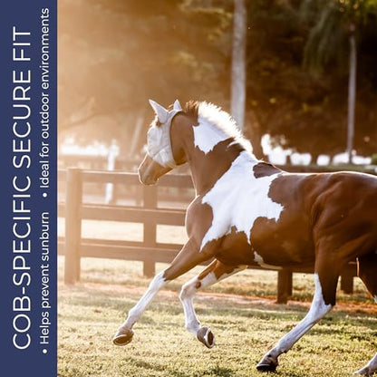 Cob Horse Fly Mask with Ears, UV Protection, Breathable Mesh