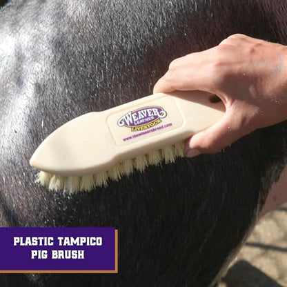Weaver Livestock Tampico Pig Brush, Plastic Grooming Brush for Dirt Removal, Soft Bristle Tampico Brush for Smooth Hair, Daily Show Pig Grooming Tools