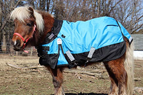 Derby Originals Nordic-Tough 1200D Heavyweight Mini Horse & Pony Turnout Blanket – Waterproof, Reflective, 300g Insulation, Triple-Layer Design, 210T Lining, 2-Year Warranty