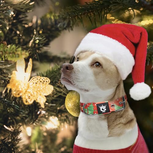 TSPRO Heavy Duty Thick Dog Collar with Metal Buckle for Small Dogs - color: Christmas Red, size: S – Fits Neck 12.6"-15.8"