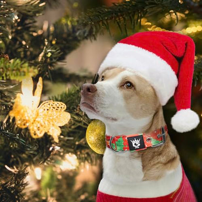 TSPRO Heavy Duty Thick Dog Collar with Metal Buckle for Small Dogs - color: Christmas Red, size: S – Fits Neck 12.6"-15.8"
