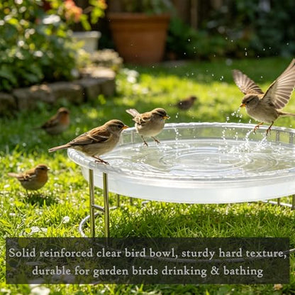 13-Inch Ground Bird Feeder and Bath Combo, Stainless Steel Feeding Platform for Birds & Squirrels, with Dual Birdseed Mesh Trays, Birdbath, Attracting Creatures to Backyard, Patio - color: bird feeder & bath combo