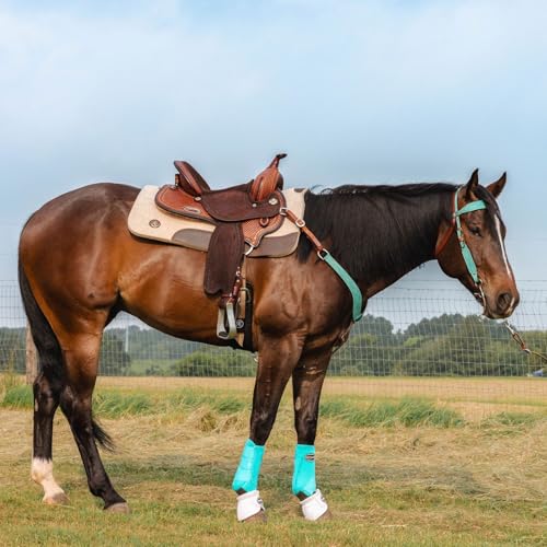 CIRCLE Y Marfa Lights Suede Browband Headstall | Double Ply Western Headstall with Suede Overlay, White Stitching & Stainless Steel Hardware | 35"- 43" Adjustable Fit - color: Teal