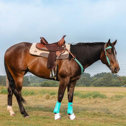 CIRCLE Y Marfa Lights Suede Browband Headstall | Double Ply Western Headstall with Suede Overlay, White Stitching & Stainless Steel Hardware | 35"- 43" Adjustable Fit - color: Teal