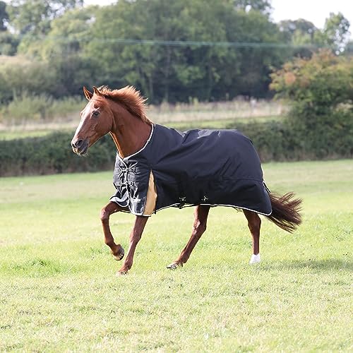 Shires Highlander Plus 200 Standard Neck Turnout Blanket - 200g Medium Weight 69" - size: 69"