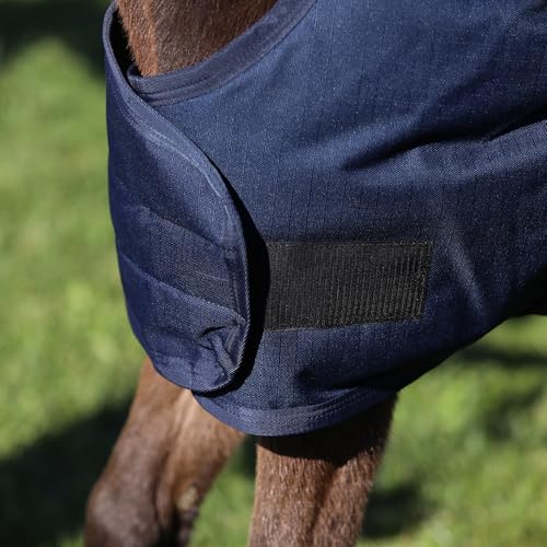 STORM SHIELD Euro Fit Bellyband Foal Horse Turnout Blankets | Mini Horse Blanket | Turnout Blankets for Horses Waterproof | Foal Blanket | Winter Horse Blankets - size: 30 - 36