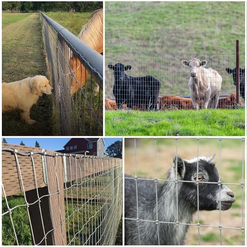 4 ft x 100 ft Galvanized Horse Fence,2 x 4 in Mesh Farm Fence, 14 Gauge | No-climb farm fencing for horses, goats and sheep; suitable for livestock enclosures, paddocks, pastures, fields and farms
