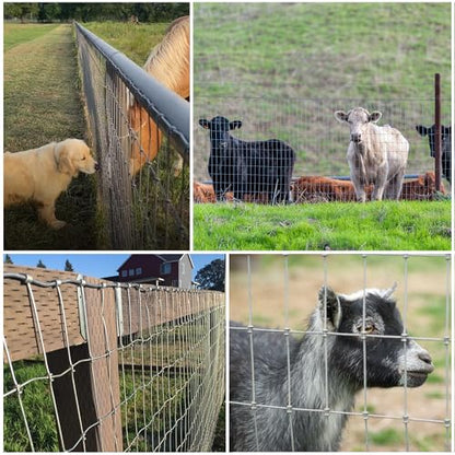 4 ft x 100 ft Galvanized Horse Fence,2 x 4 in Mesh Farm Fence, 14 Gauge | No-climb farm fencing for horses, goats and sheep; suitable for livestock enclosures, paddocks, pastures, fields and farms