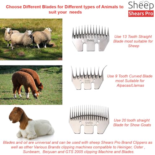 Sheep Shears Pro Clipper Blades 20 Tooth Straight Blade Replacement - size: 20 Tooth Straight Blade and Cutter set