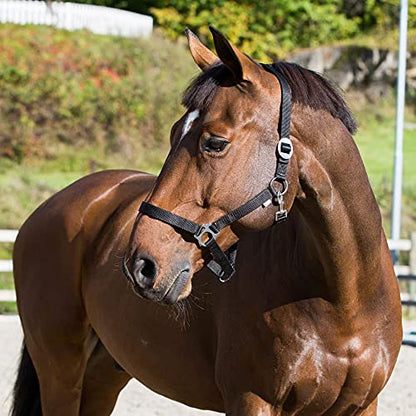 HORZE Basic Nylon Adjustable Horse Halter - size: Pony