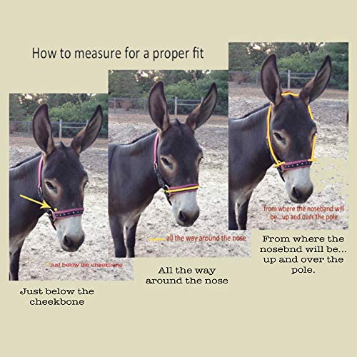 HalterUp Cute and Stylish Foal and Small Miniature Horse Halter and Lead Rope - Strong and Durable Yet Comfortable - Available in Black and Pink (Black, Foal/Newborn (up to 6 Months))