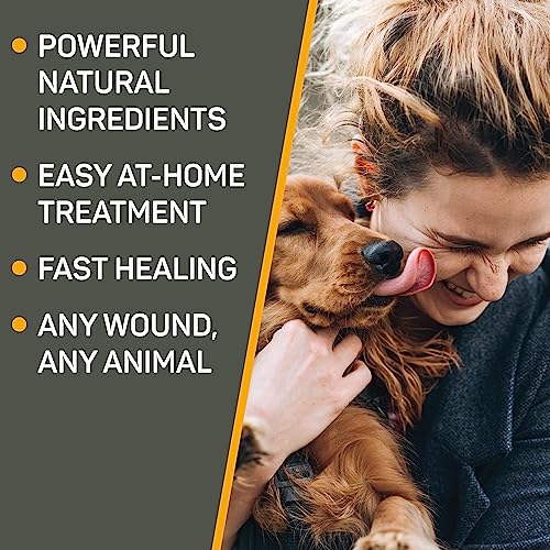 Silver Honey Hot Spot & Wound Care Pet First Aid Spray Gel, 8 fl oz | Manuka Honey, MicroSilver BG, Dog, Cat, Small Animal, Rapid Healing, Treat At Home, Touch-Free Application, Antibiotic-Free