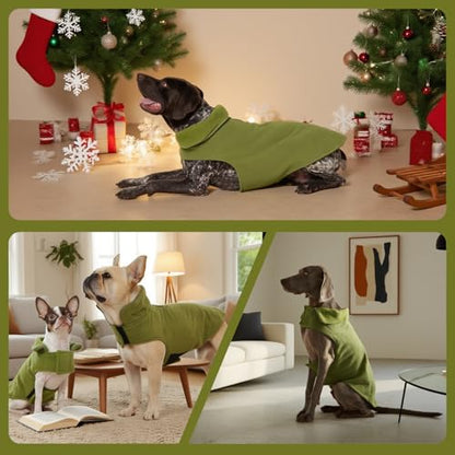 DENTRUN Reversible Dog Winter Coat, Windproof Polar Fleece Reflective Vest - color: Green, size: X-Small